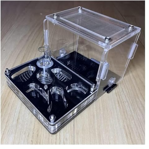 AMYSTY Ameisenfarm für Erwachsene Ameisenburg, Ameisenfarm Aus Acryl Mit Befeuchtendem Wasserturm, Ameisennestfarm, Pädagogisches Lernset Ameisen Terrarium(S)