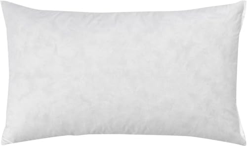 AddLiving Relleno de cojín de plumas, relleno de almohada, en muchos tamaños, 40 x 60 cm