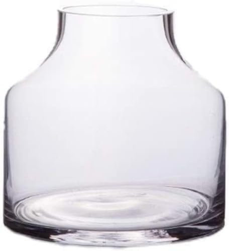 Home Simplicity - Jarrones modernos minimalistas de vidrio transparente creativo para la entrada de la sala de estar, hidropónicos, enchufe de gran diámetro, accesorios para el hogar, -A