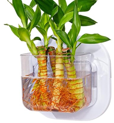 Réservoir de Poisson Mural - sans perçage de hydroponiques Vase - Boules d'aquarium compactes pour Salon, Chambre, Cuisine, Appartement, Chambre à Coucher