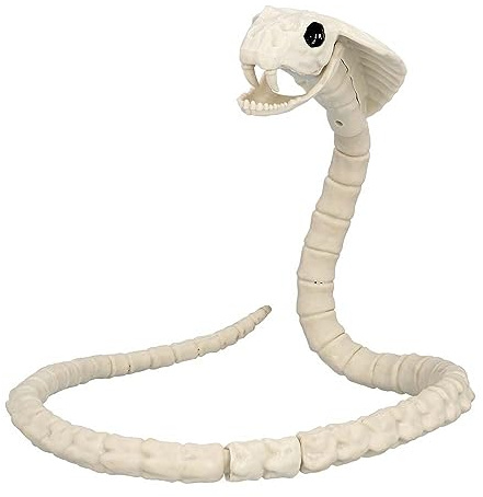 Boland - Dekoration Skelett Schlange, 102 x 10 cm | Party Deko für Halloween, Karneval und Horror Mottoparty, Cobra, Boa, Tiere