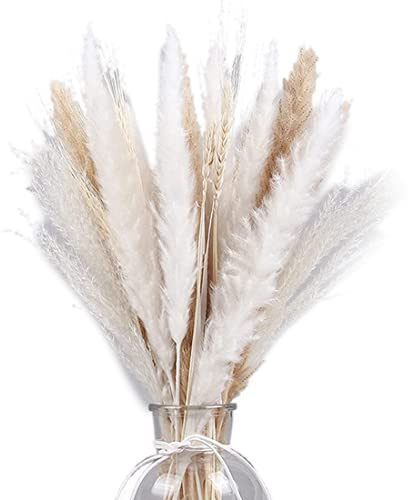 Gvvsjgdbis 70 PCS Hierba de Pampa Secada Decor de Mesa Boho - Hasta 18 Pulgadas de , Rústico a Granel Casa Decoración de Fiesta de Boda