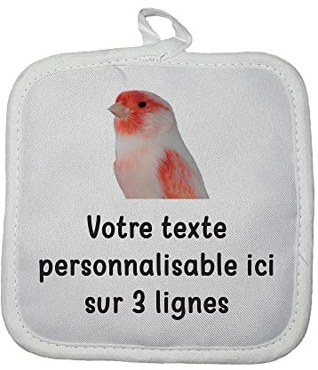 Manique Gant de Cuisine Pictogramme Canaris 2 avec Texte Personnalisable