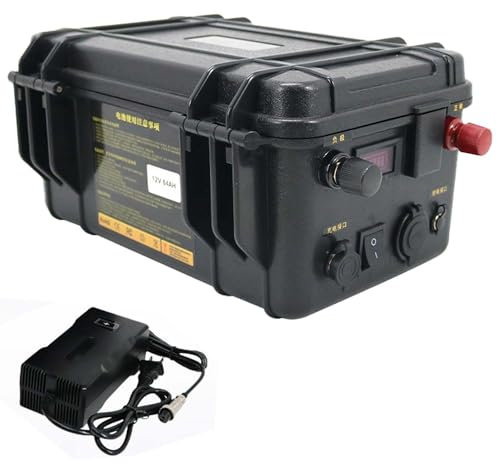 HSSYTZOUL 12V 24V Batterie Au Lithium Propulsion Batterie Au Lithium 60Ah-200Ah Built-in BMS pour Bateau Électrique Moteur Bateau De Pêche Hélice Marine Propulsion Batterie avec Chargeur,12v,100AH