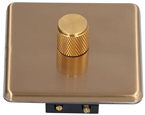 Fafeicy Brass Dimmer Switch, Knob Type Stainless Steel Panel with Textured Knob for Precise Light Control, AC220V 500W Rated, Elegant Home Lighting Solution (monotonous light)