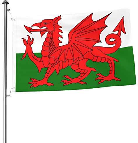 Walisische Drachenflagge, 60 x 90 cm, doppelseitig außen, großes Banner, Hausflagge, Hof-Außen tion
