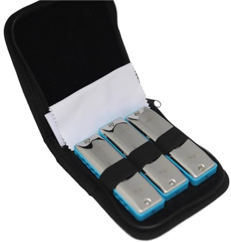 Mundharmonika-Set 10 Hole Blues Harmonica Set Of 3 Keys With Case For Beginner Professional Adults