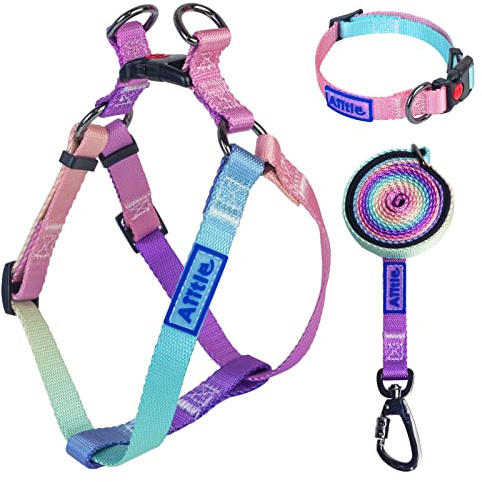 AIITLE Step in Dog Harness Collar Leash Set - Adjustable No Pull Dog Halter Harness - Comfortable Padded Handle - Easy Control for Walking - for Extra-Small Breed Dogs, Pink Gradient XS