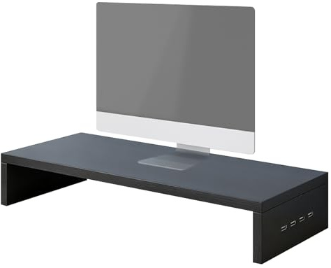 Zahoken Bildskärmsstativ för skrivbord, booster med 4 USB-portar, ergonomiskt laptopstativ, skrivbord för skrivare skärm bärbar dator elektronik hemskola lekrum arbetsstudie