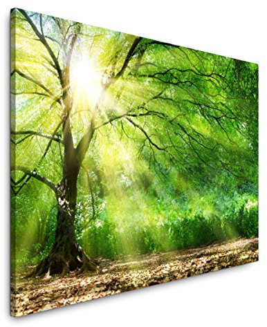 Paul Sinus Art Baum mit Sonnenstrahlen im Winter 120x 80cm Inspirierende Fotokunst in Museums-Qualität für Ihr Zuhause als Wandbild auf Leinwand in