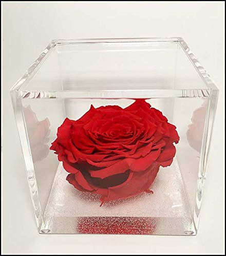 OneFlower by PREMIUM ROSE - Cubo Rosa Stabilizzata Rossa 10 cm con Marmo di Carrara - Rosa Eterna Stabilizzata Idea per San Valentino e Festa Della Mamma Made in Italy - Rosso A 1010