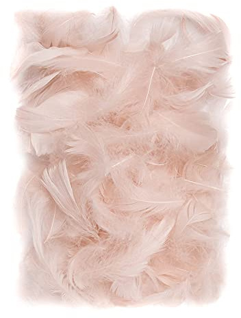 Netuno 150 Stück Flaum Federn Nude 10 g Natur Schmuckfedern zum DIY Basteln Dekoration für Ostern Weihnachten Figuren Dekofigur Karneval