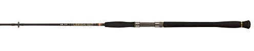 PENN Legion Cat Silver Spinnrute – Waller-Spinnrute mit Fuji Ringen und Fuji Rollenhalter – Inklusive Stofffutteral