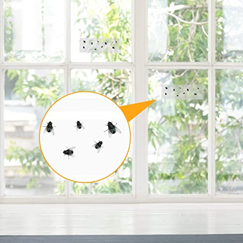 30 Blätter Fenster Fliegenfallen Klebestreifen Fliegen Transparente Fliegenfalle Fly Catcher Strips Fenster Fliegenfallen Insekten für Heim Schule Küche Schädling Beseitigung Fliegenfängerstreifen