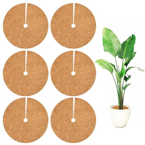 LangRay Kokos Mulchscheibe, 20cm 6pcs Kokosmatte Winterschutz für Pflanzen Kübelpflanzen, Kokosscheibe Kokosfasern Pflanzenabdeckungen Frostschutz, Pflanzenschutz Winter Innen und Außen