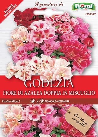 150 Semi di Godezia Fiore di Azalea, Mix di Colori Multicolore per Giardino