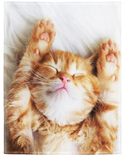 YISUMEI Decke 100x125 cm Kuscheldecken Sanft Flanell Weich Fleecedecke Bettüberwurf Kätzchen Katze Schlaf Gelb