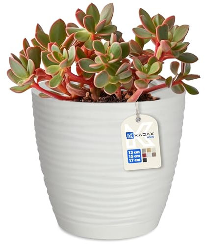 KADAX Vaso da fiori con sottovaso, fioriera per interni, leggero, in plastica, per fiori, piante, casa, stanza, vaso (15 cm, bianco)