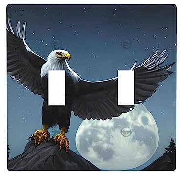 2-fach Adler unter den Sternen Wechselschalter Wandplatte Doppelschalter Standardgröße Steckdose Modernes Design