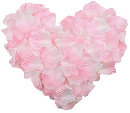 RuiChy 1000pcs Silk Artificial Rose Petals for Wedding Pink White | Fake Flower Petals Home Party Romantic Night Anniversary Valentine's Day Wedding Party Table Decorations