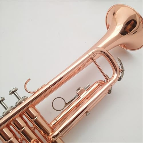 Trompeten-Set B-Trompete, Instrumentenoberfläche Vollphosphor Anfänger- Und Erwachsenenband