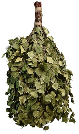 Birken-Saunabesen Venik – Naturprodukt aus frischen Birkenzweigen für traditionelle Sauna & Dampfbad, Russischer Banja-Besen für Trockensauna, Kräuterbad-Massage-Zubehör, Saunazubehör & Geschenkidee