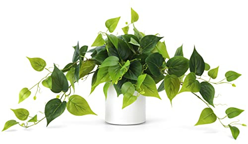 WOODWORD Faux Potted Plant - Fake Pothos Decorative Plants with White Ceramic Pot for Desk Shelf Bathroom Living Room Decor - Fake Plant for Home Office Decor Indoor Outdoor