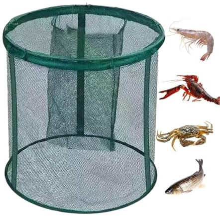 Générique Panier À Poisson Pliable | Piège de Stockage Pliable pour Poissons Vivants - Cage de Stockage Portable pour Appâts et Filet de Pêche,pour Bar Truite Poisson-Chat Eau Salée Eau Douce Pont