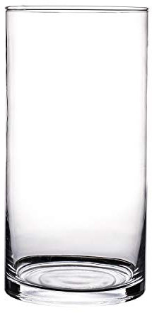 KNIKGLASS Vaso di Vetro, Vaso di Fiori di Vetro, Vaso di Fiori Decorazione Vaso di Vetro, Vaso Trasparente (A, 25 cm x 12 cm)