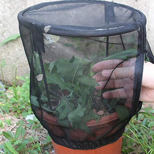 BAOFUYA Gartennetz, beständige Netzabdeckung für Obstpflanzen und Büsche, Schützt vor Vögeln und Schädlingen, Geeignet für Zitrusbäume und Tomaten (Black)