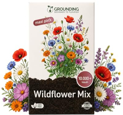Grounding Maxi - Semi Miscuglio Fiori di Campo (Wildflower Mix) Multicolore, 10000+ semi - Effetto prato rustico “meadow”, attira impollinatori - Qualità Europea