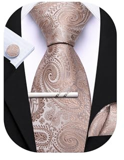 Barry.Wang Paisley-Krawatte mit Krawattenklammer für Herren, Seidenkrawatte, Einstecktuch, Manschettenknöpfe, Set, formelle Hochzeit, Party, Business