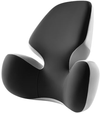 BEBAS Lumbar Support Pillow for Office Chair - Ergonomic Memory Foam Back Cushion for Lower Back Pain Relief - Washable & Breathable Cover - Fits Car Seats, Gaming Chairs & Wheelchairs - Black Gray