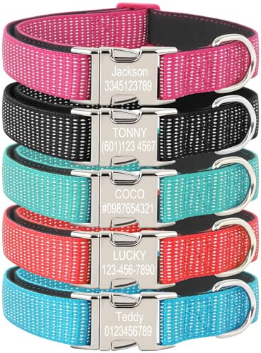 Individuelles lasergraviertes Hundehalsband mit reflektierendem Nylon und sicherer Metall-ID-Schnalle, verstellbares Haustierhalsband für kleine/mittelgroße und große Hunde (Metallschnalle)