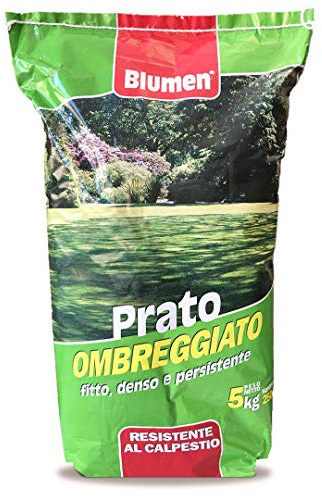 Semi Giardino Sementi per Prato Ombreggiato Resistente Blumen 5 Kg - Copertura 250 Mq - Tappeto Erboso Persistente - Resistente al calpestio