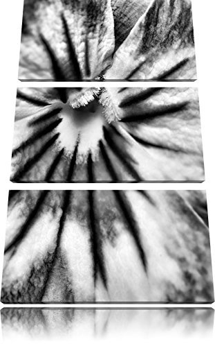 Pixxprint farbenfrohes Stiefmütterchen, Leinwandbild 3 Teilig, Gesamtmaß: 120x80cm, Wandbild, Dekoration, fertig gespannt, Kein Poster