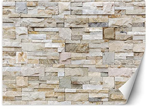 Feeby Papier Peint Intisse Motif Grès Mur 250x175 cm beige XXL Photo Mural Muraux Tapisserie Texture Motif Abstrait