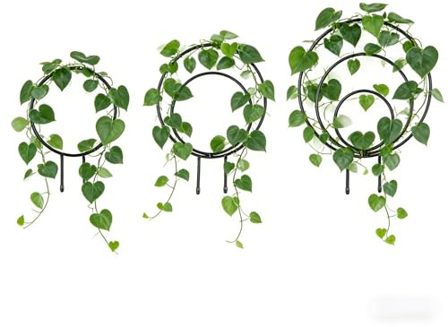 Jeruytgh Enrejado para Plantas | Estructura de Soporte Metálica Decorativa,Estructura para Plantas Escaladoras | para Jardinería Doméstica de Principiantes, Uso en Interior, Hogar, Bodas, Hortalizas y