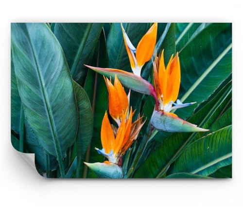 ARTTOR Carta da parati Vinile in TNT Premium Sand - Celeste uccello fiore - 100x70 cm - Fotomurali Decorazione Murale Moderna Poster gigante XXL Decorazione da Muro Camera da letto - WF2AA100x70-4980