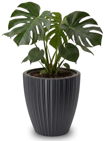 matches21 HOME & HOBBY Großer Blumentopf ZENTO schwarz für innen, außen - 39 x 42 cm Pflanztopf rund wetterfest
