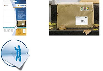 HERMA Wetterfeste Versand-Etiketten SPECIAL, 99,1 x 93,1 mm, Sie erhalten 1 Stück á 25 Blatt