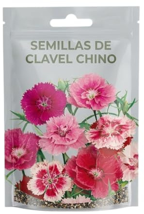 Semillas de Clavel Chino para Crear Jardines Coloridos en Primavera y Verano – Cultivo en Maceta o Exterior | DECOALIVE