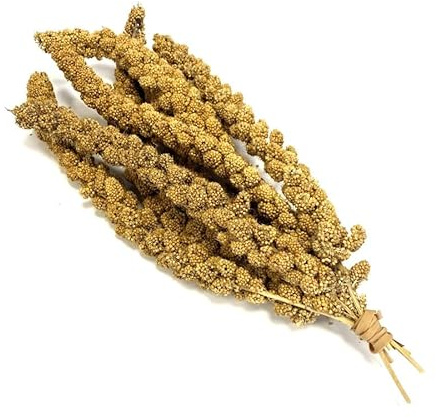 Millet Sprays x 10 Premium Cage Bird Food Seed