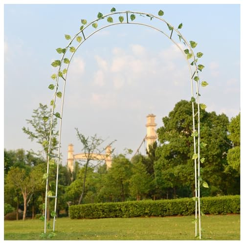 Arche en fer pour plantes grimpantes - Treillis de jardin - Idéal pour les fleurs et la tonnelle - 1 m