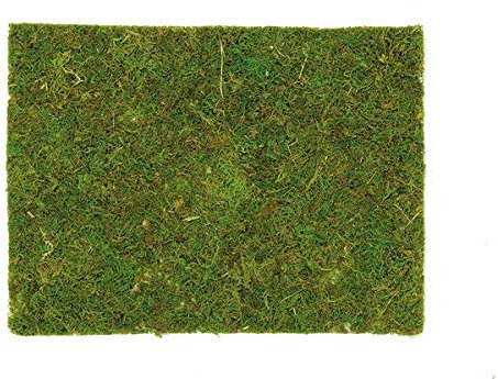 Glorex Moosplatte 40x30cm Dekor Haus Garten Advent Eisenbahn Rahmen Moos Krippe Spiel