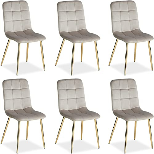 Homestyle4u 6er Set Esszimmerstühle Samt Hellgrau mit Goldbeinen | Polsterstuhl mit Samtbezug, gesteppt, Sitzhöhe 45 cm – ideal für Esszimmer, Wohnzimmer & Küche