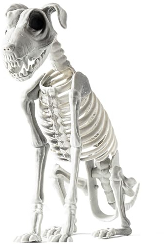 Zyntora Halloween Skelett Hunde | 31x40cm Sitzendes Hunde Skelett Deko Mit Realistischen Zähnen | Skelett-Hund Sitzend | Hundeskelett-Dekoration | Halloween Deko Outdoor Für Spukhaus, Gathering
