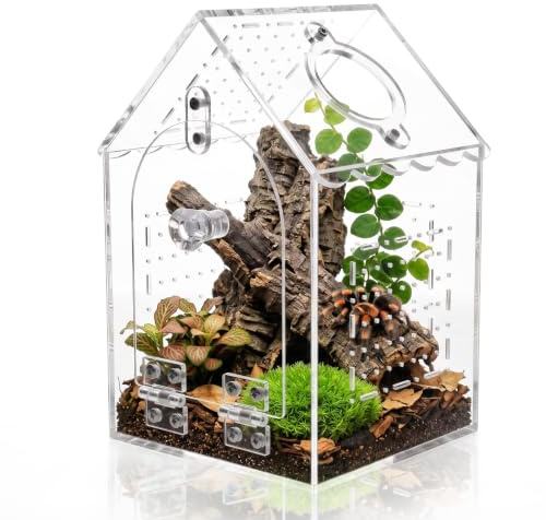 MIDINGCHAI Recinto cilíndrico de araña saltarina, 25 x 15 cm, terrario panorámico de acrílico de 360°, vivero con agujeros de ventilación, para insectos palos, tarántula, caracol, mantis religiosa