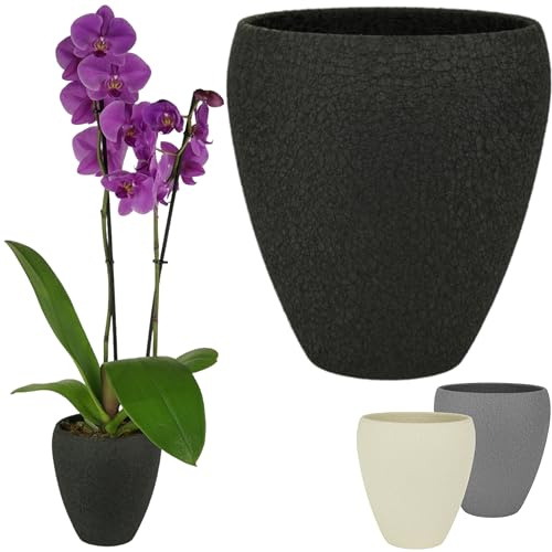 Spang Luna Orchideentopf Orchideen Übertopf Blumentopf Topf ○ Made in Germany (1er Set, Schwarz)