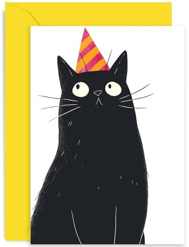 Geburtstagskarte für Katzenbesitzer – Haustierbesitzer-Geburtstagskarte – schwarze Katze Partyhut Happy Birthday Karte für Männer und Frauen – lustige Fell-Babykarte – Party-Katzen-Geburtstagskarte